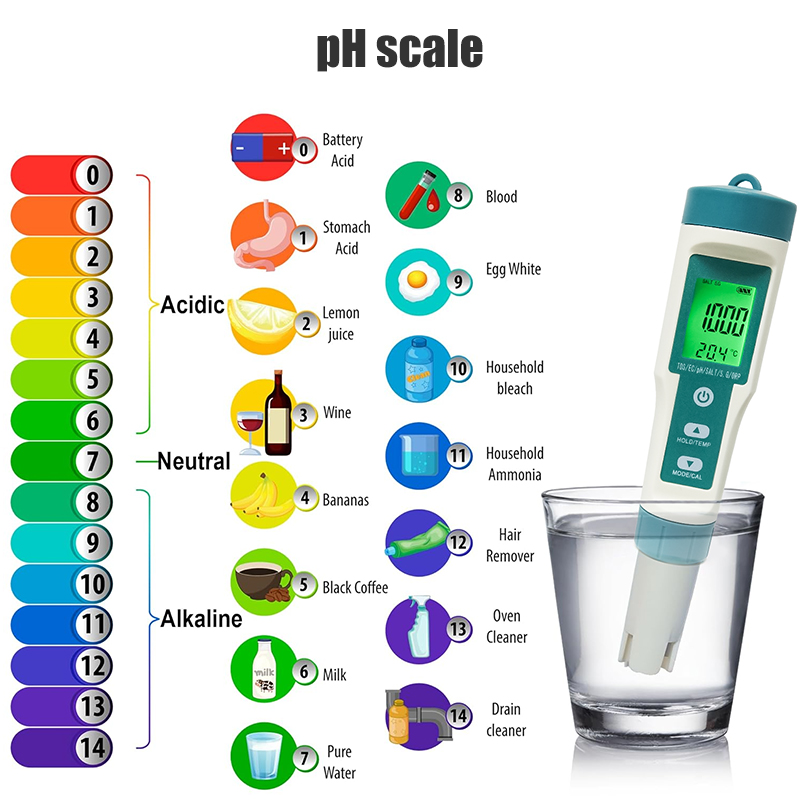 Miernik cyfrowy WESTTUNE 7 w 1 – Ph Meter recenzja i cena